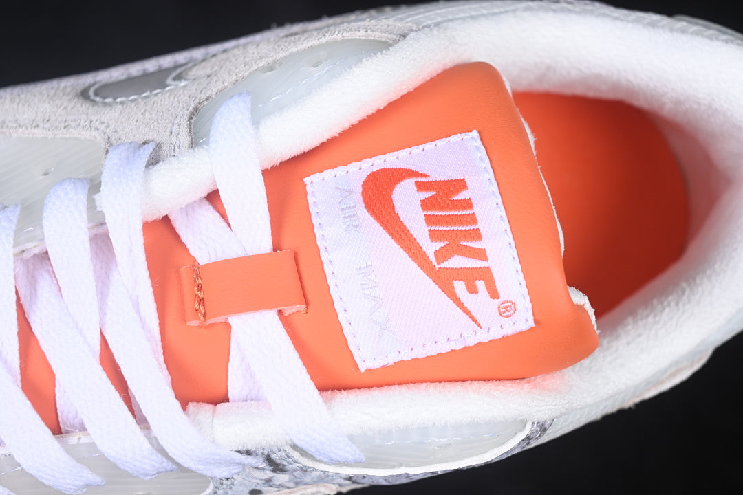 Air max 90 “25th birthday”