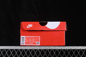 Dunk “Mineral Slate”