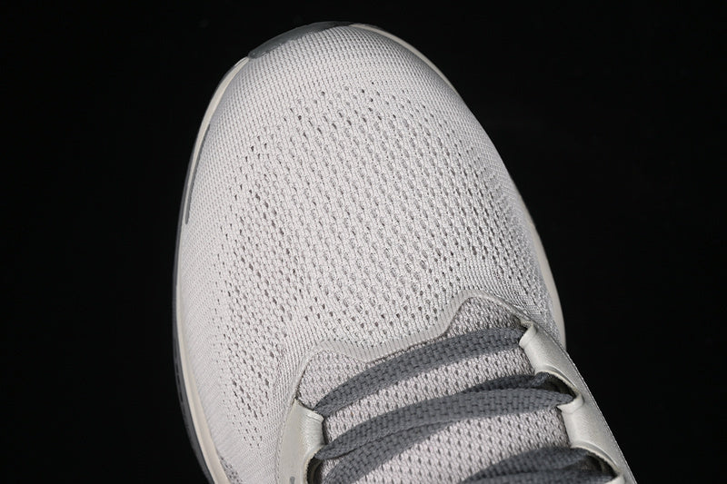 Air Zoom Pegasus 41 “Grey”