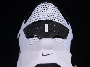 Air Zoom “Pagasus”