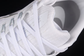 Air Zoom Pegasus 39 “White Silver”