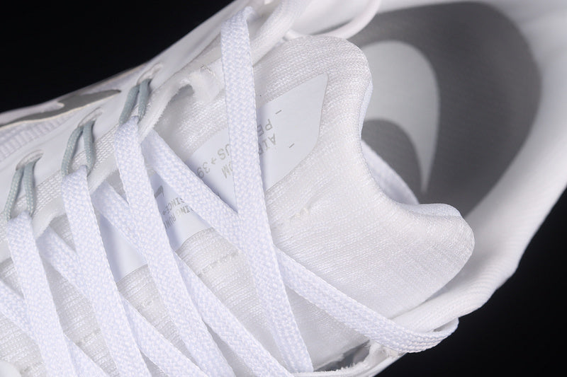 Air Zoom Pegasus 39 “White Silver”