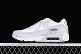 Air max 90 “Gore Tex Photon Dust”