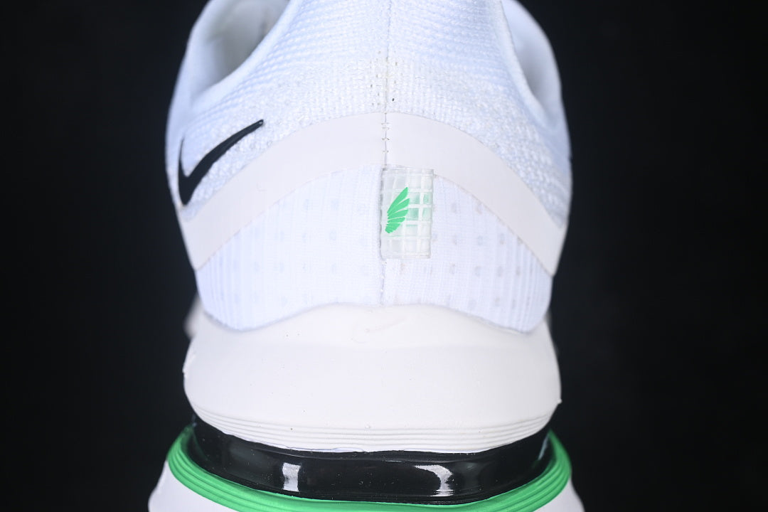 Air Zoom Pegasus “White Summit”