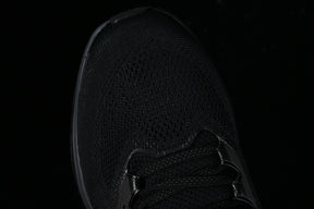 Air Zoom “Pagasus”