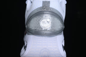 Air Max DN “Silver Glitter”