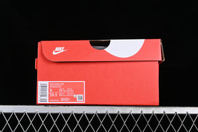 Dunk “From Nike To You”