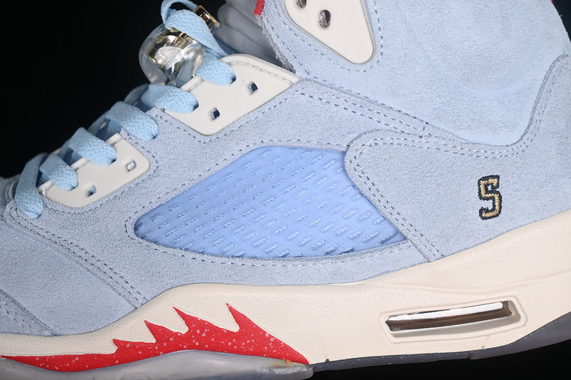 Air Jordan 5 “Trophy Room”