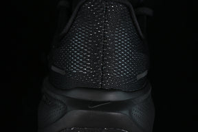 Air Zoom “Pagasus”