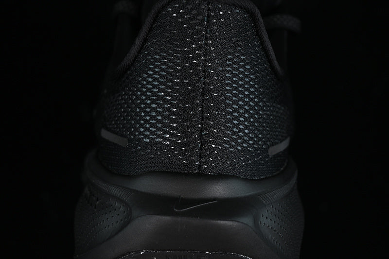 Air Zoom “Pagasus”