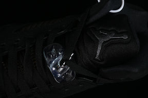 Air jordan 6 ”Silver”