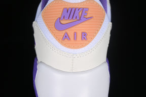 Air max 90 “Action Grape Citron”