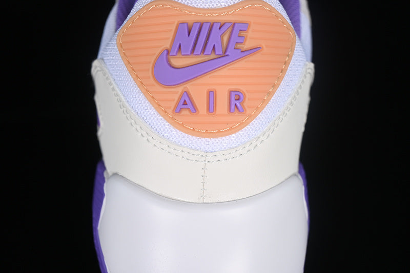 Air max 90 “Action Grape Citron”