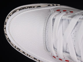 Air Jordan 3 “Hall Of Fame”