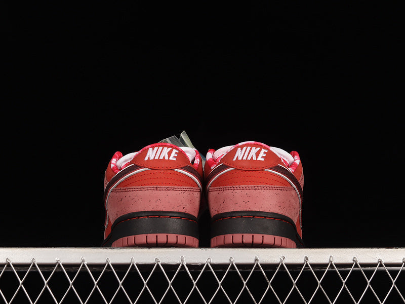 Dunk “Lobster Sport Red”