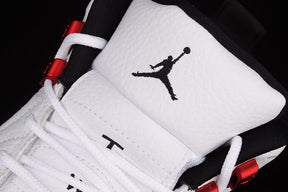 Air Jordan 12  “Twist”