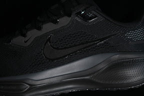 Air Zoom “Pagasus”