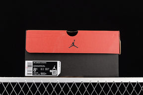Air Jordan 12  “Twist”