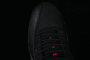 Air Jordan 12  “Bloodline”