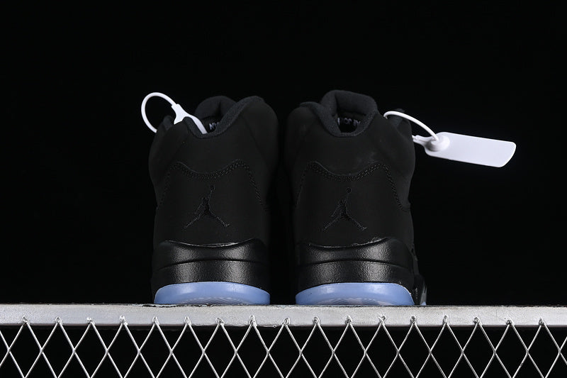 Air jordan 6 ”Silver”