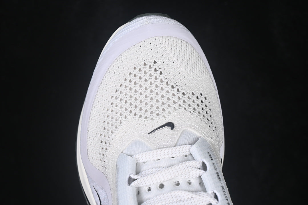 Air Zoom Pegasus Premium “Run”