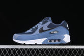 Air max 90 “Diffused Blue”
