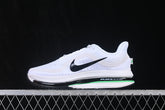 Air Zoom Pegasus “White Summit”