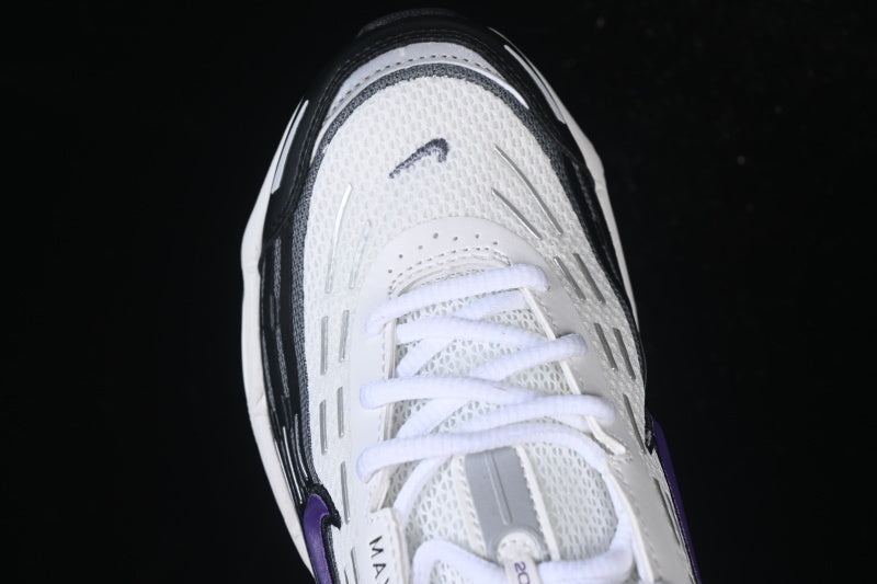 Air max TL “Wild Grape”