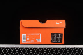 Air Zoom Pegasus 39 “White Silver”