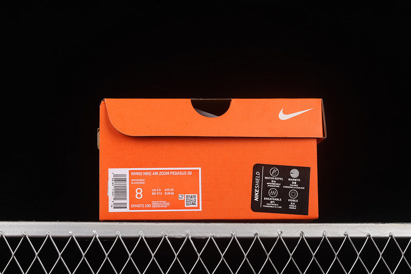 Air Zoom Pegasus 39 “White Silver”