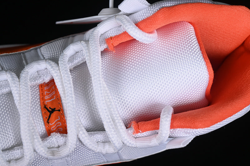 Air Jordan 11  “Florida Gators”