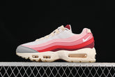 Air max 95 “Anatomy Of Air”