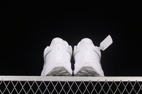 Air Zoom Pegasus 39 “White Silver”
