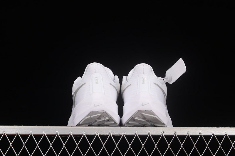 Air Zoom Pegasus 39 “White Silver”