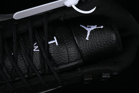 Air Jordan 12 “Wolf Cool Grey”