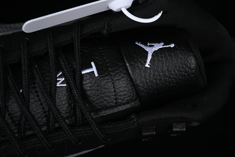 Air Jordan 12 “Wolf Cool Grey”