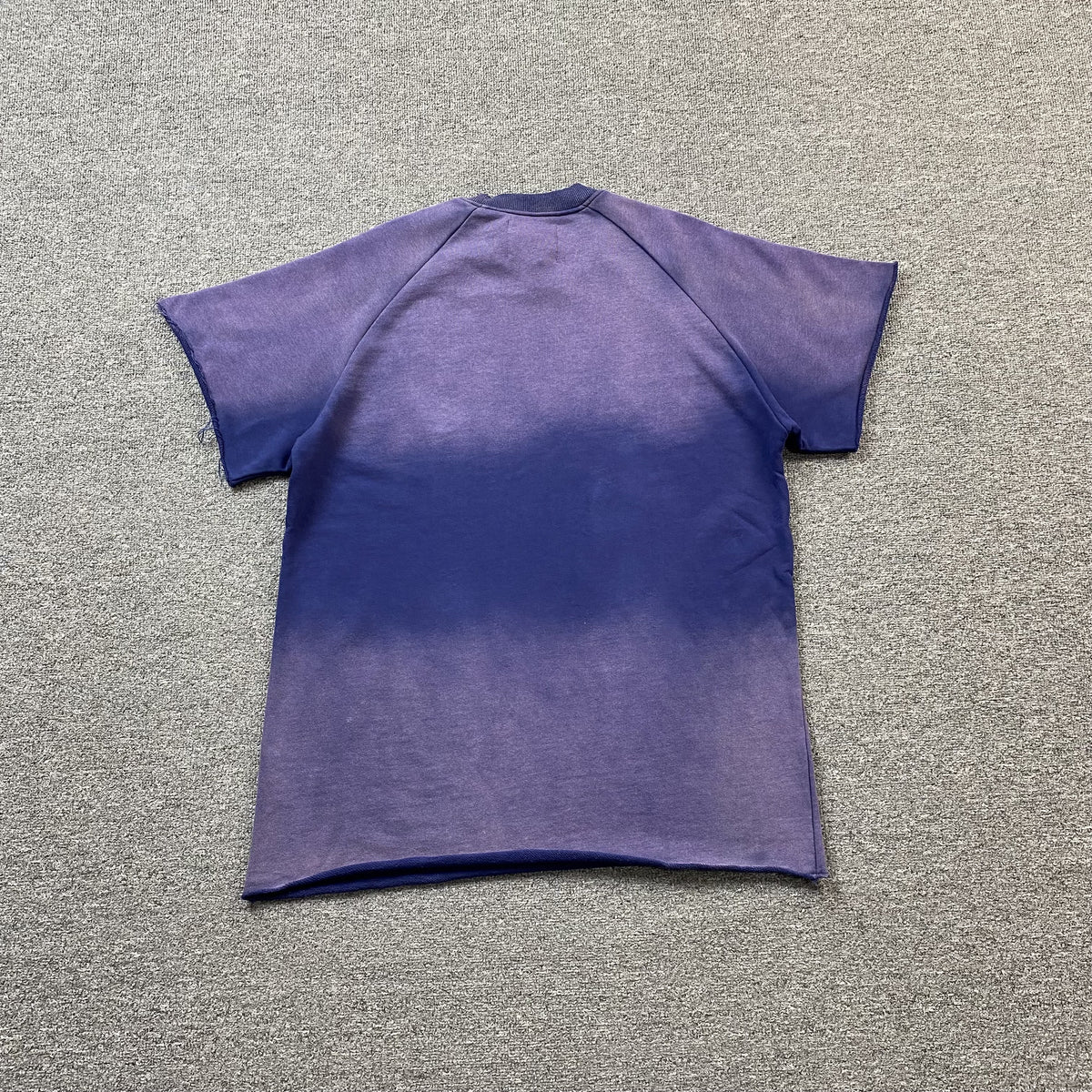 Camisa Vertabrae “Verty” ( Roxa )