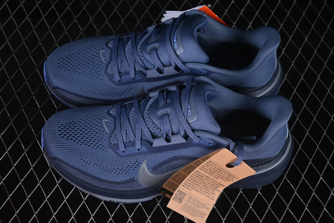 Air Zoom Pegasus 42 “Diffused Blue”
