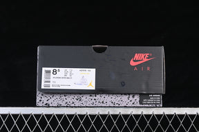 Air jordan 6  “Metallic White”