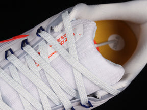 Air Zoom Pegasus 39 “Grey Bright Crimson”