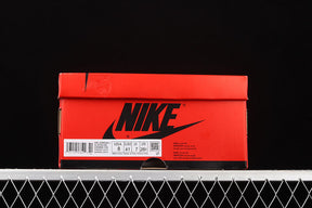 Jordan 1 High “Fearless”