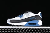 Air max 90 “Light Smoke Grey”