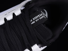 Air Zoom “Pagasus”