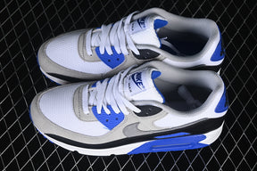 Air max 90 “Hyper Royal”