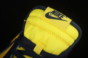 Dunk “Michigan” (2021)