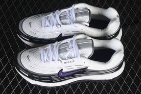 Air max TL “Wild Grape”