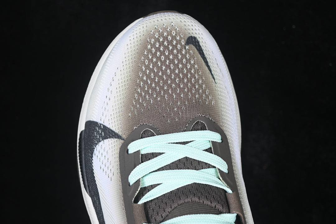 Air Zoom Pegasus Premium 42 “Faith Brown”