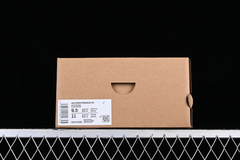 Air Zoom “Pagasus”