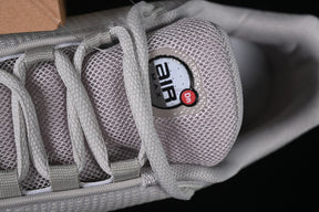 Air Max DN “Iron Ore”