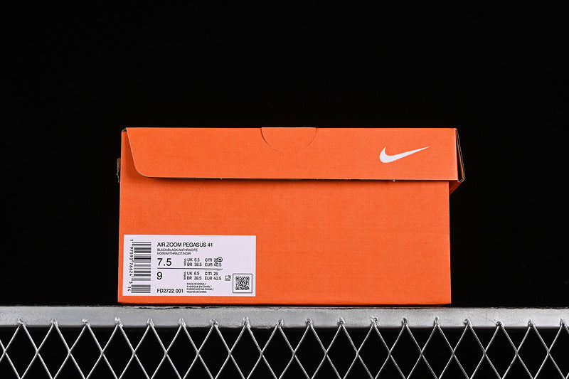 Air Zoom “Pagasus”
